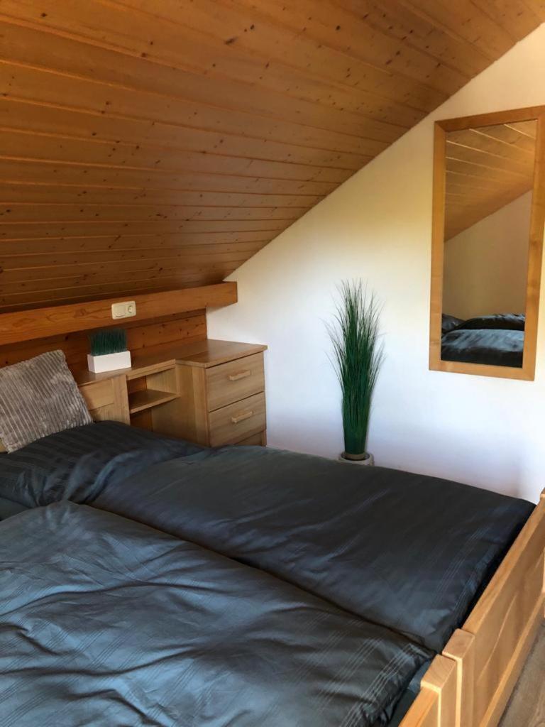 Ferienwohnung Buchenblick モンシャウ エクステリア 写真